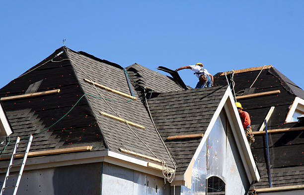 Best Metal Roofing Contractor  in Dalton, GA
